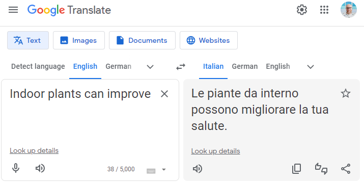 Google Translate interface translating text from English to Italian